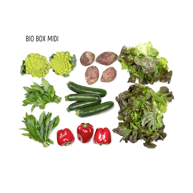 Bio Box - BIO BOX Gemüse