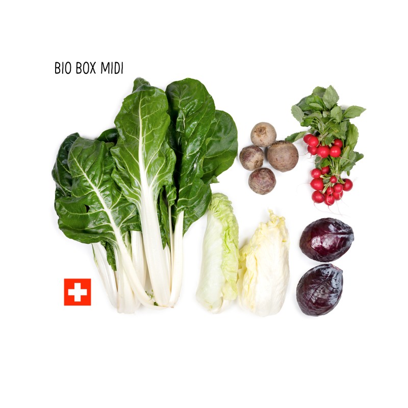 Bio Box - BIO BOX Schweizer Gemüse