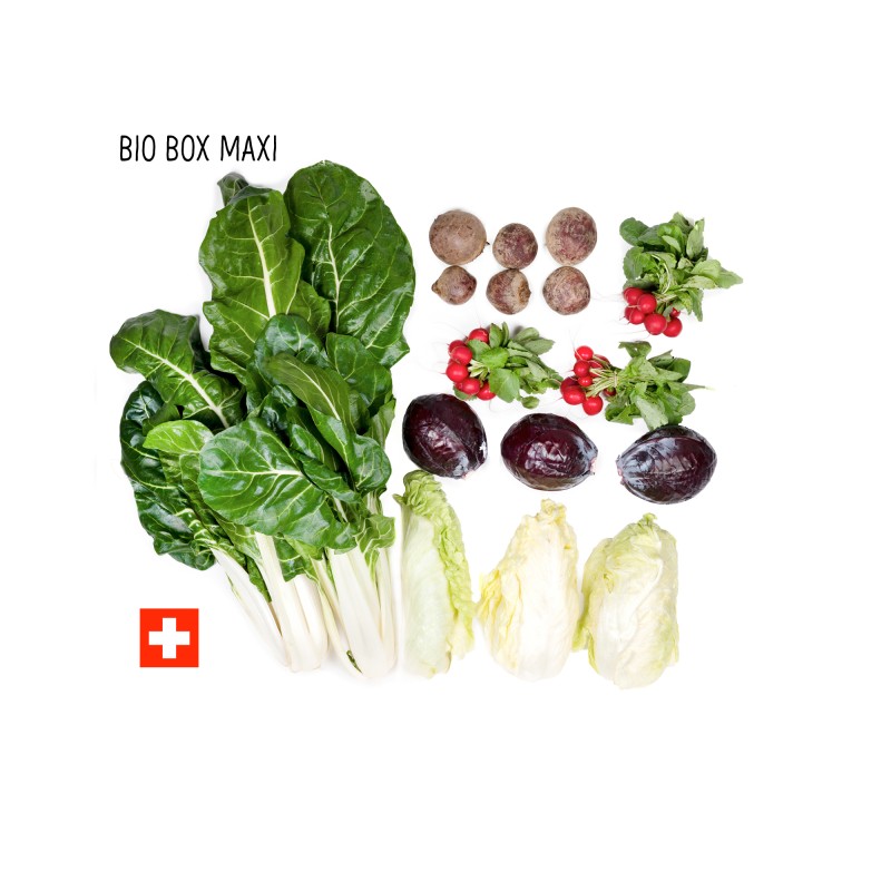 Bio Box - BIO BOX Schweizer Gemüse