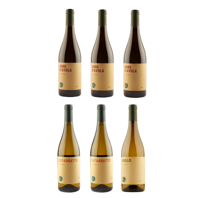  - del Grillo DOC Sicilia Deguset 3x Rot, 3x Weiss