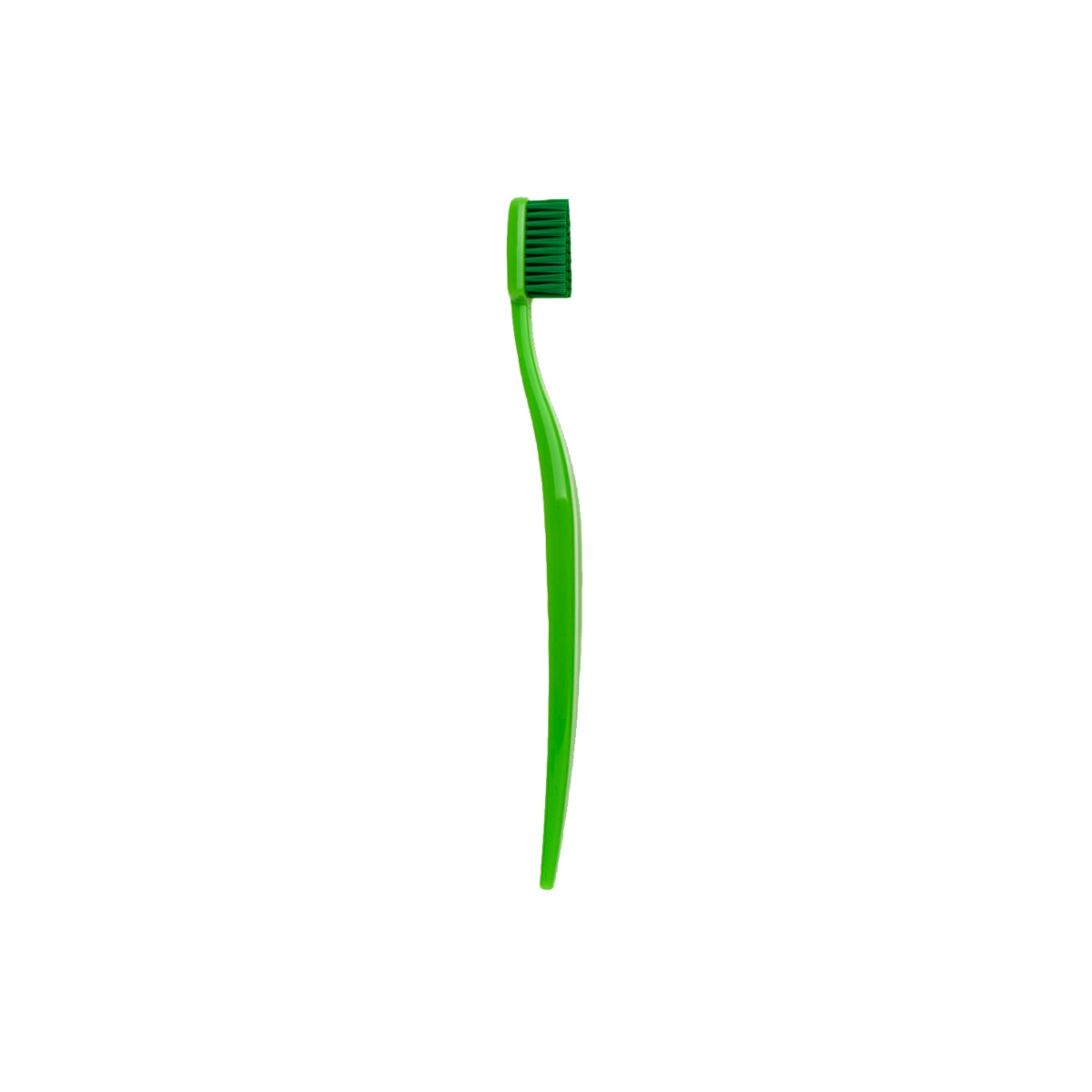 Zahnbürste BioBrush Erwachsene grün