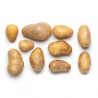Bio Kartoffeln festkochend 1kg