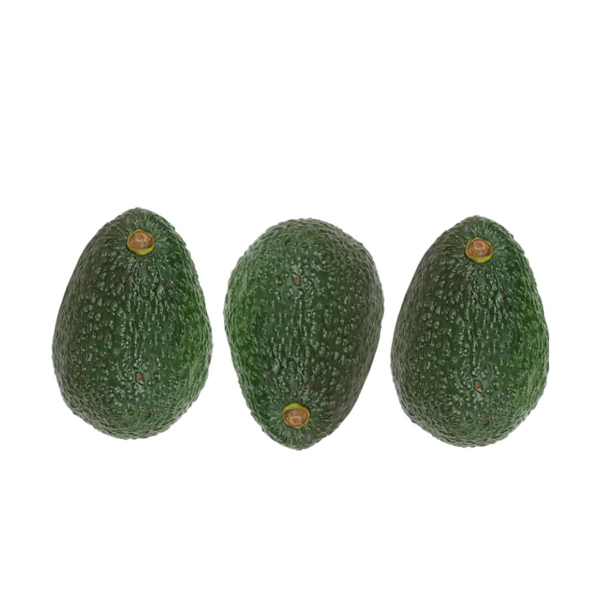 Bio Avocado 3Stk 